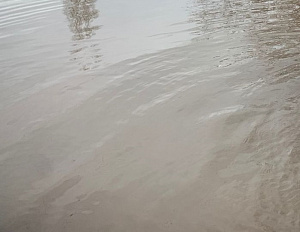 Паводок повредил 8 тысяч гектаров озимых культур 